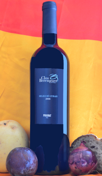 Finca Syrah fra Clos Berenguer i Priorat, en fabelagtig vin.